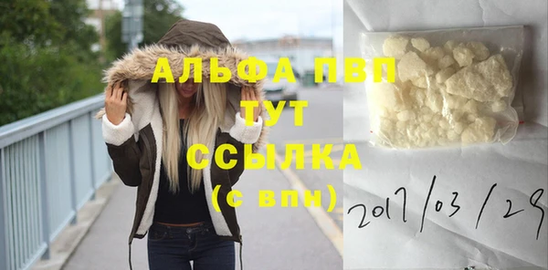 ПСИЛОЦИБИНОВЫЕ ГРИБЫ Болохово