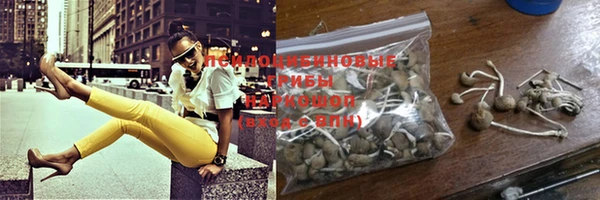 PSILOCYBIN Вяземский