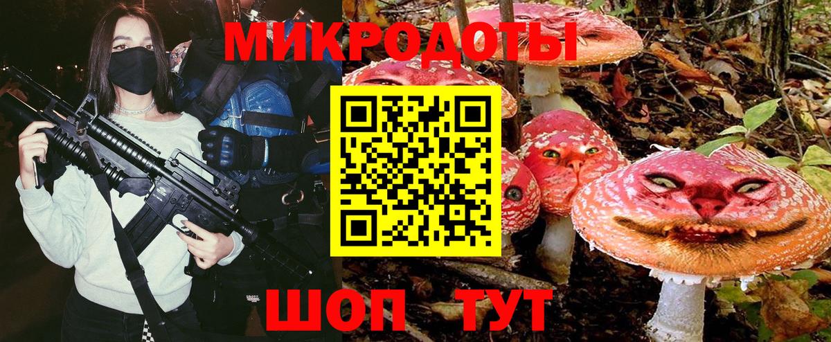 Псилоцибиновые грибы мицелий  Галлюциногенные грибы Cubensis  Баксан 