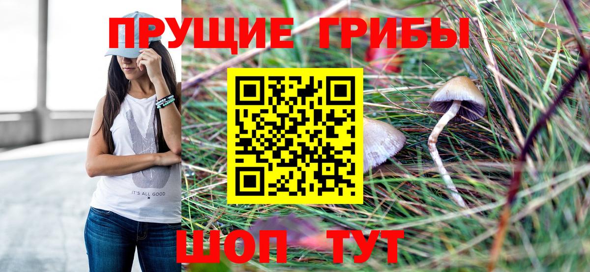 Галлюциногенные грибы Magic Shrooms  Галлюциногенные грибы ЛСД  наркотики  Вход с VPN  Баксан 