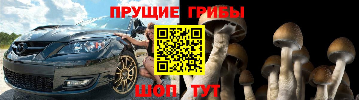 Псилоцибиновые грибы ЛСД Баксан